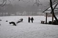 December2009 361